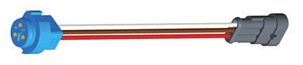 67006