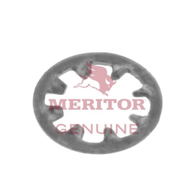 1229D420 Meritor 100 Pack Washer