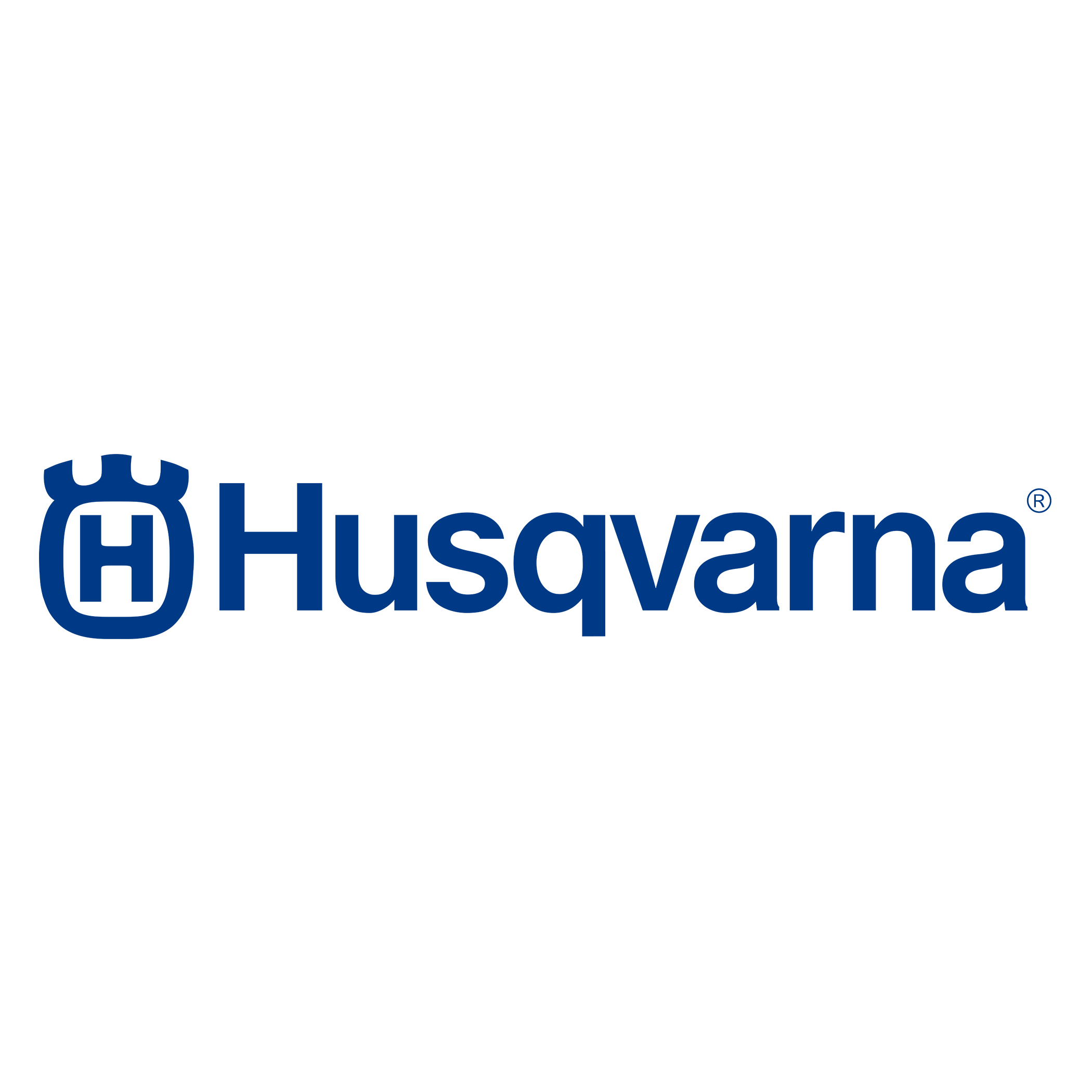 Genuine Husqvarna Forest & Garden - Hus File Kit 3/8 C83/C85/S83G - 586938503