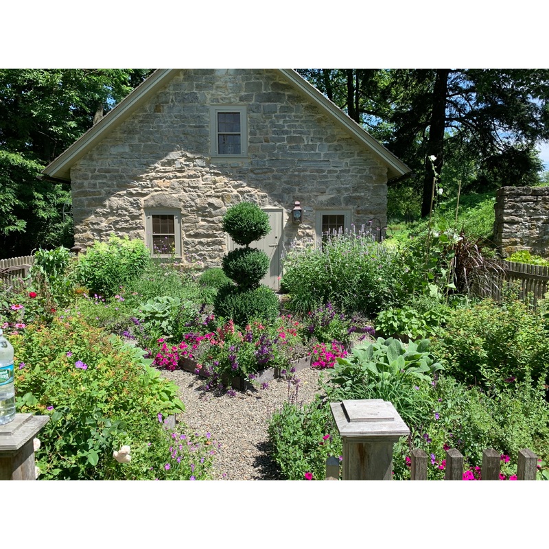 Landscape Design Consultation